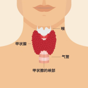 报告上N次出现的“甲状腺结节”，到底离癌症多远？